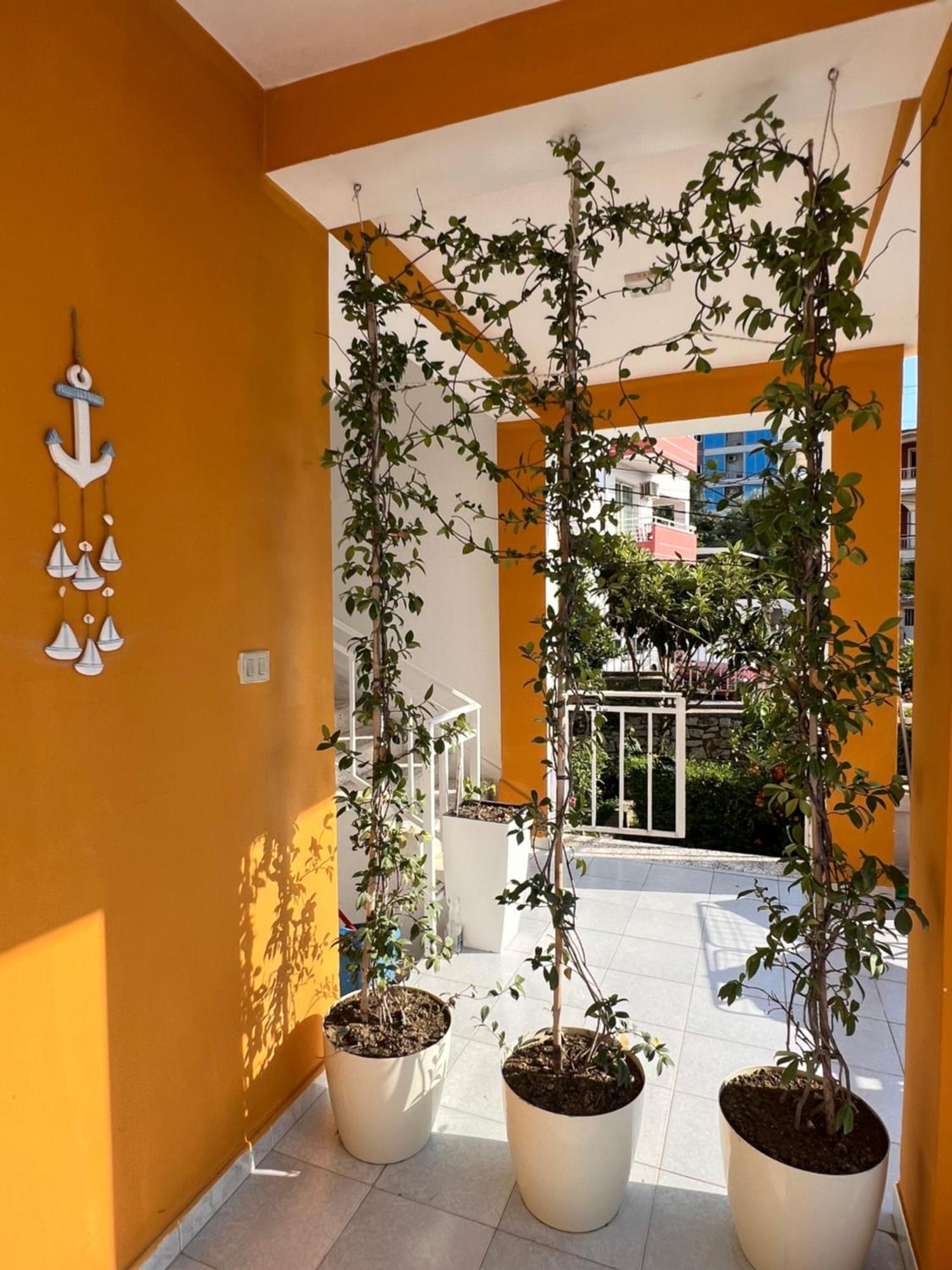 Mimi'S Apartments Vlorë Eksteriør billede